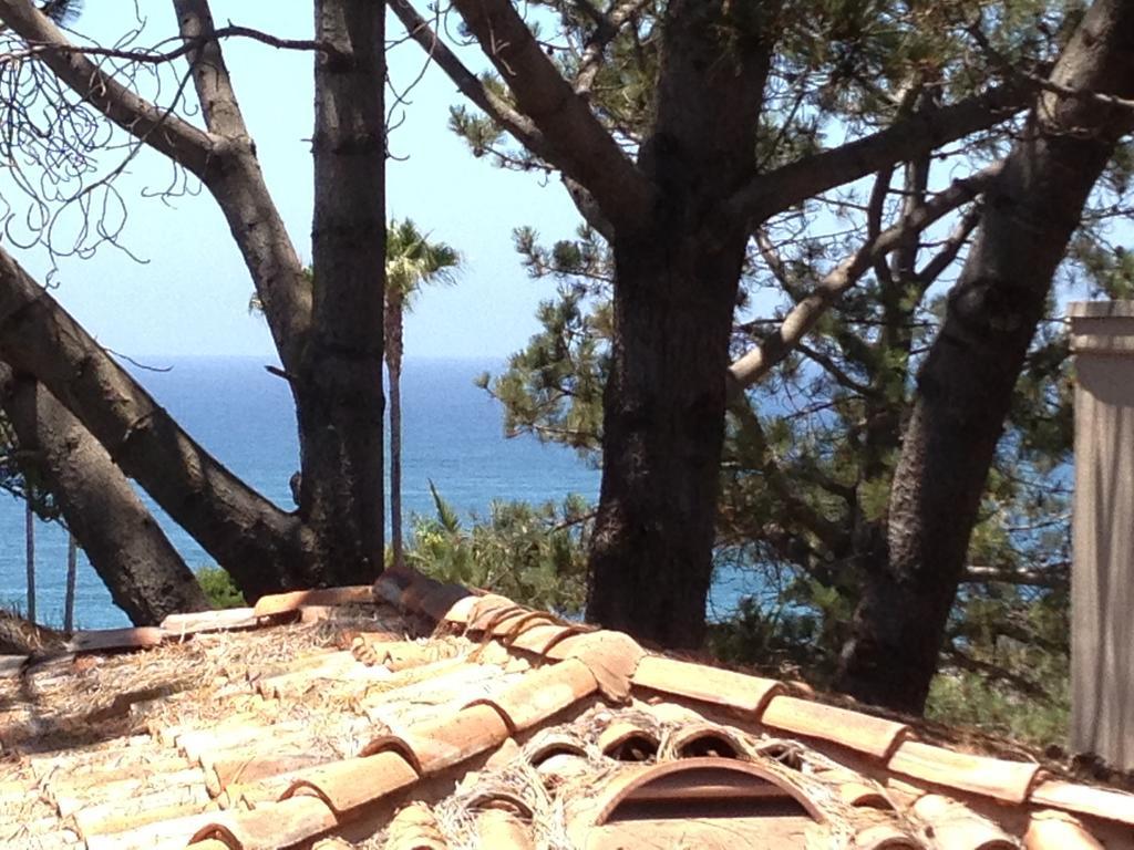 Les Artistes Inn Del Mar Quarto foto